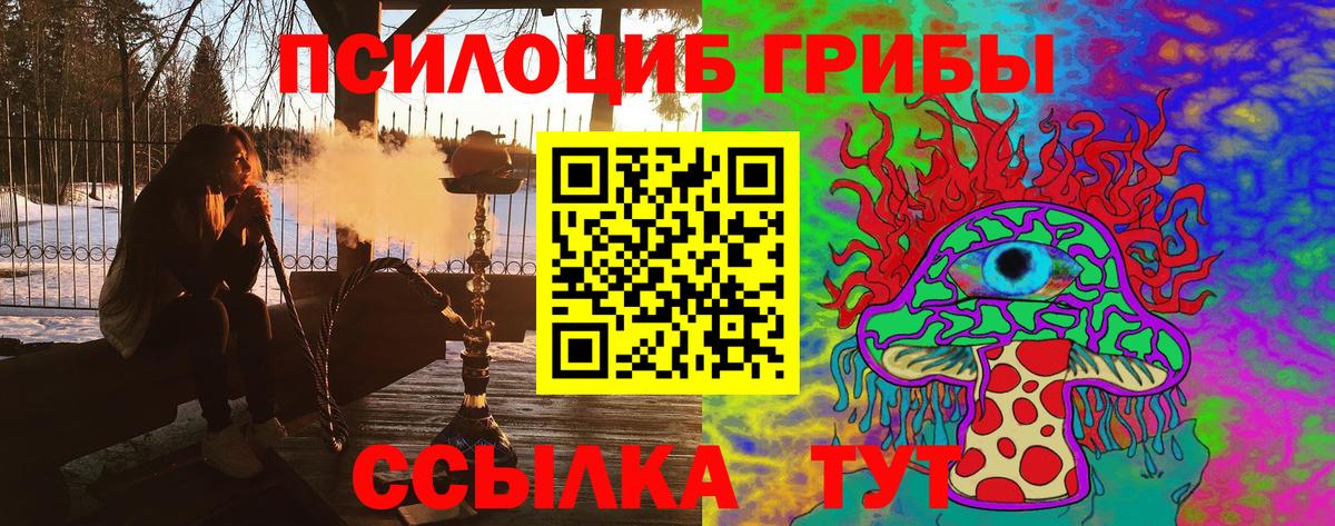 Псилоцибиновые грибы мицелий Петрозаводск