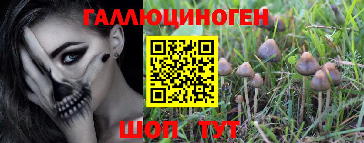 Галлюциногенные грибы Magic Shrooms  Вход с VPN  Петрозаводск  Псилоцибиновые грибы прущие грибы 